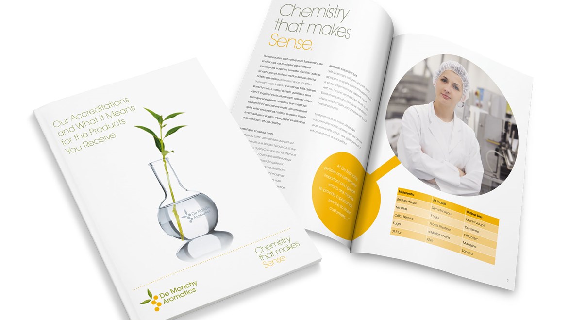 demonchy-brochure